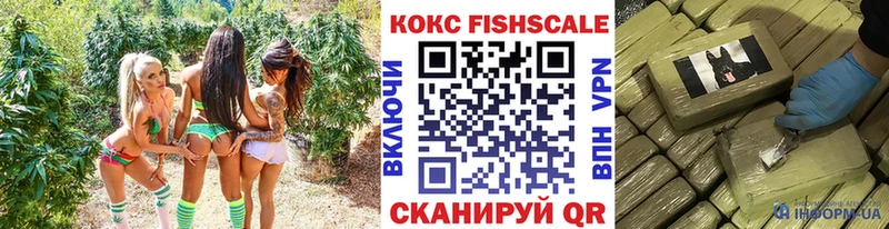 блэк спрут   Звенигород  КОКАИН Fish Scale 