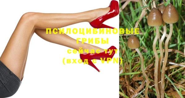 спайс Алексин