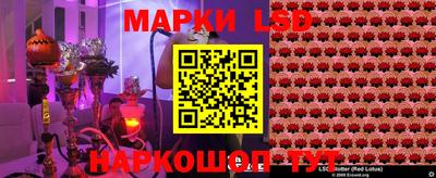 гидропоника Волжск