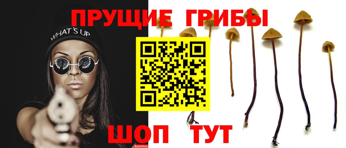 закладки  Вход с VPN  Звенигород  Псилоцибиновые грибы мицелий  Галлюциногенные грибы мицелий 